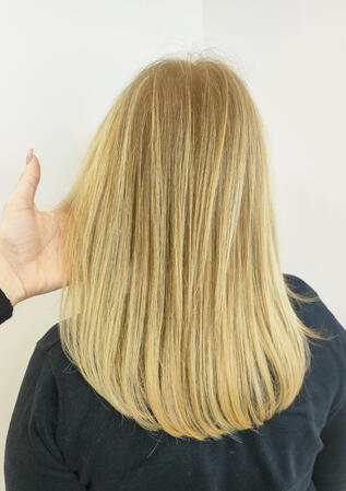 Loiros dourados com cobertura de cabelos brancos